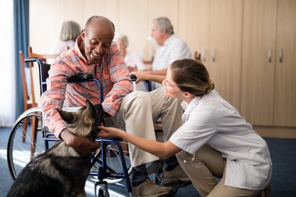 Better Nursing Home Options: Alternatives for Senior Care!