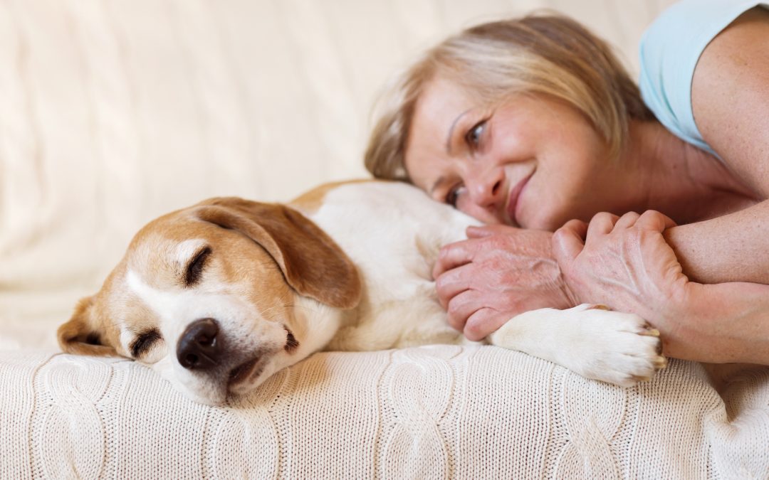 Pet Therapy and Dementia