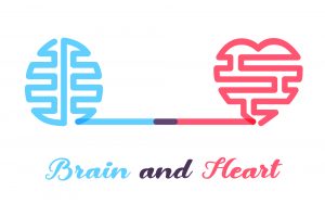 Heart brain connection
